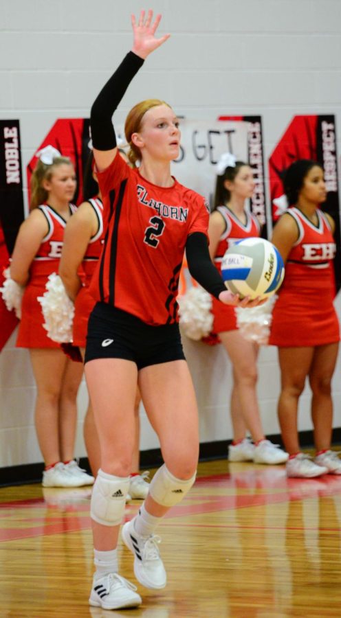 Senior Skylar Mack prepares to perform an overhand serve against Omaha Mercy.The Antlers won 3 sets to 0. 