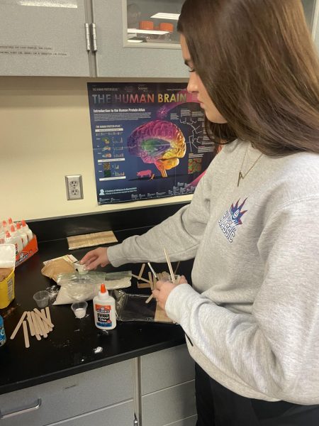 Junior Addi Thrasher works on a lab during her class.