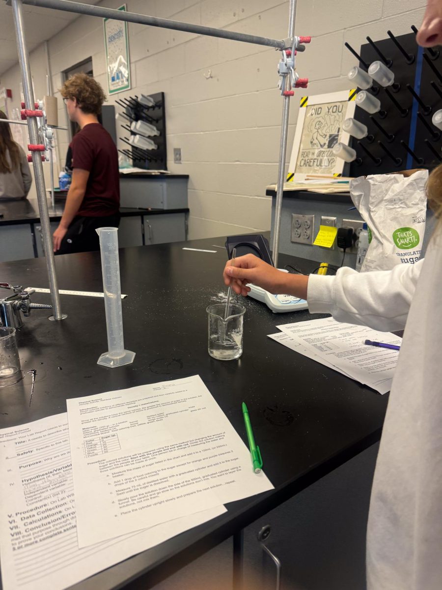 Freshmen from Mr. Stednitz class stir their mixture during their lab.