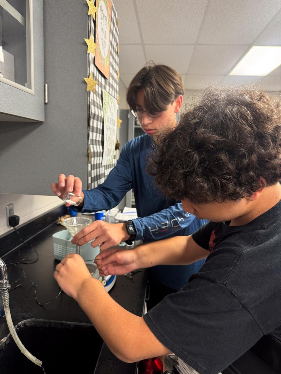 Juniors Ivan Ratnapradipa and Arshaan Adam pour sucrose into their dialysis bag during their AP Biology lab.