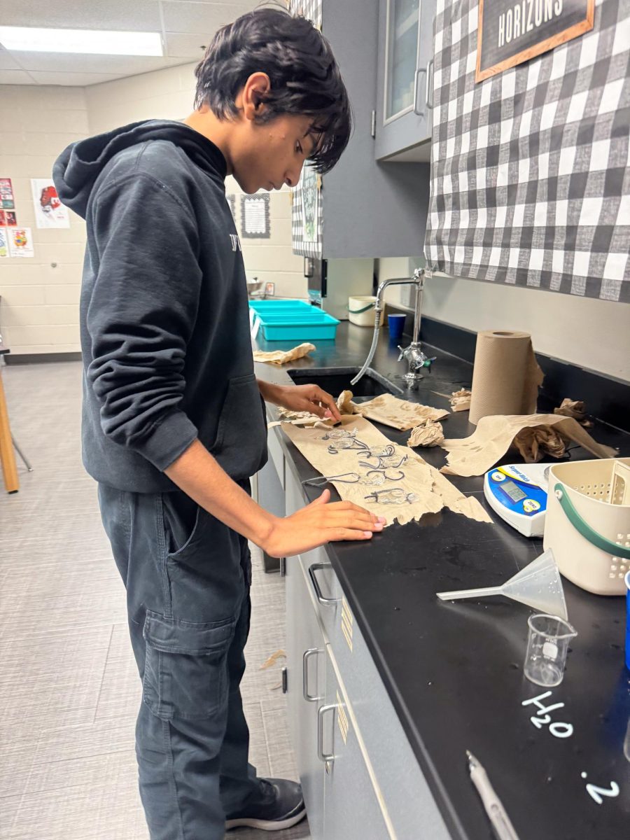 Senior Mateo Graces pats his dialysis bags dry during the AP Biology lab.