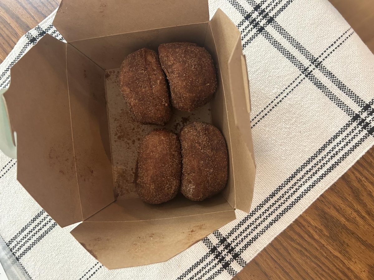 These apple cider donuts were from the front of the Sycamore Farm and serves hot and fresh. This was at Junkstock Friday 9/27/24. 