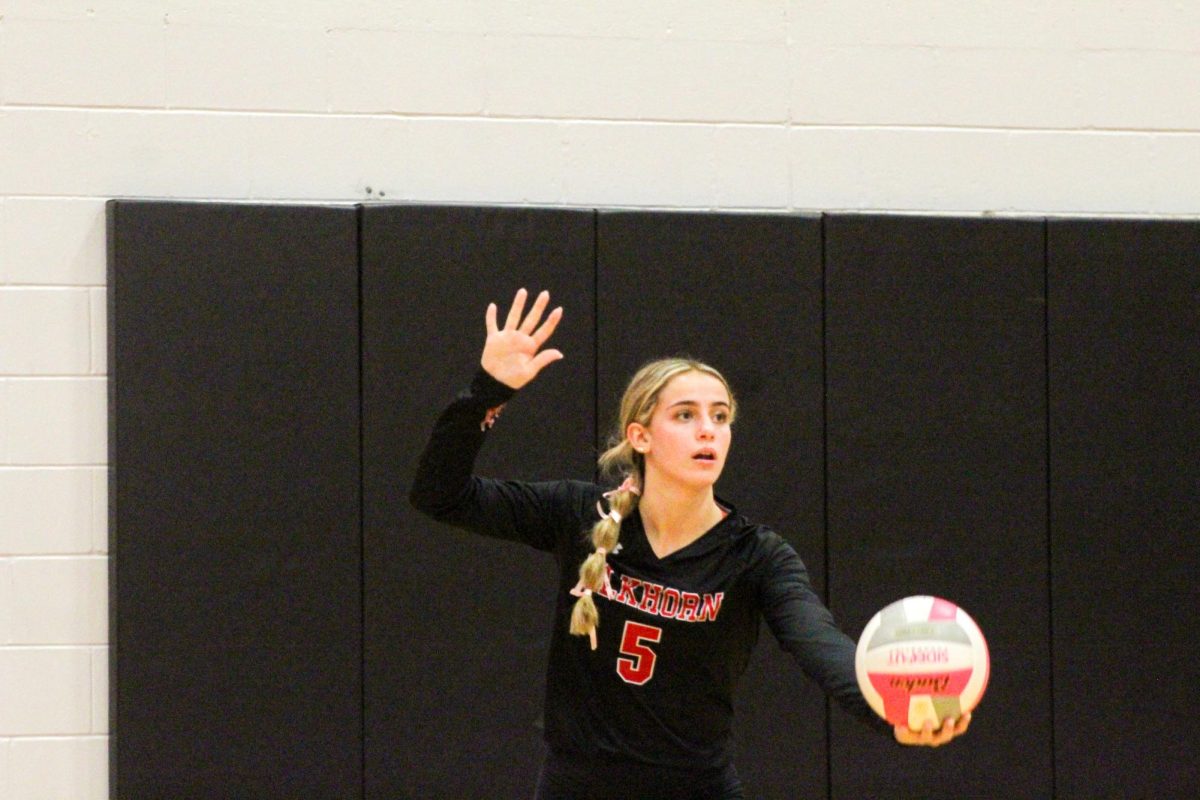 Senior Lauren Fast aims her hand up for the serve. This game took place on 10/3, and the Antlers lost to Bellevue East 2-1.