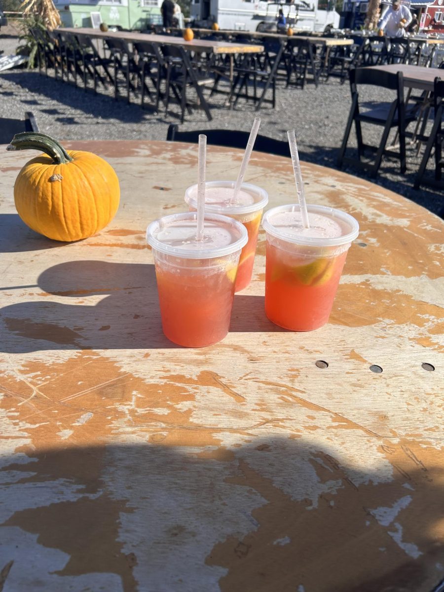 This is lemonade from a stand that was delicious.  This was taken September 27th at Junkstock in Waterloo. 