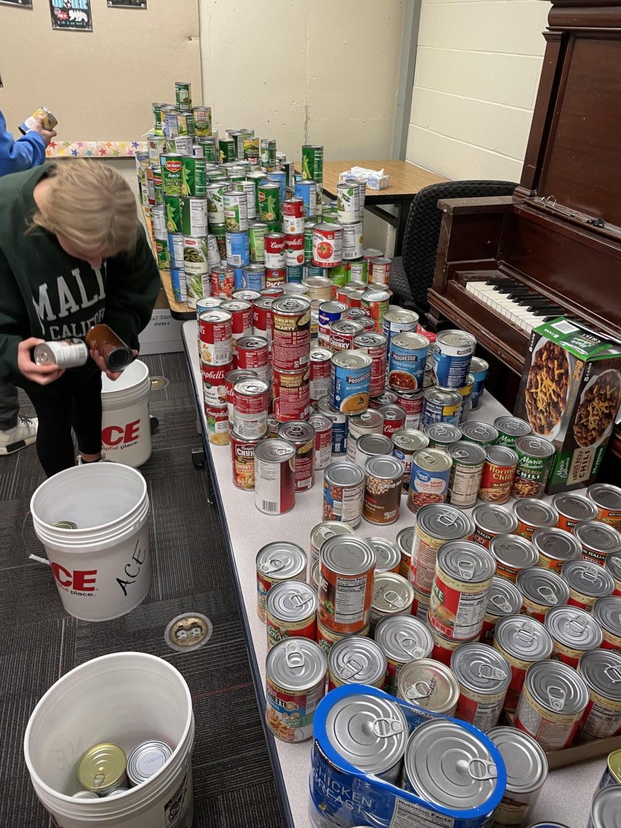 FBLA sorting out all the cans from the can food drive. this food drive takes place from the 2nd to the 18th of December. 