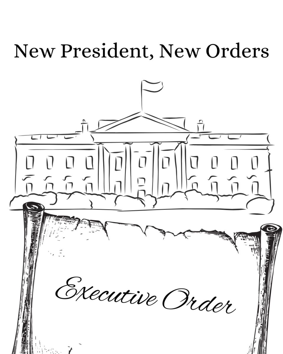 President Trump has already introduced many new executive orders. President Trump was elected in November of 2024 and took office on January 20th, 2025.