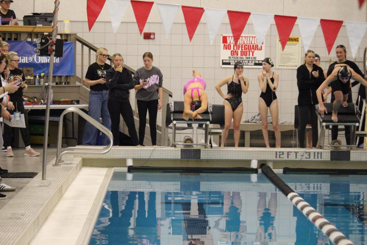 Elkhorn swimmer dives into pool.