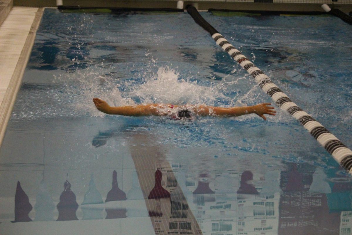 Elkhorn swimmer starting off strong