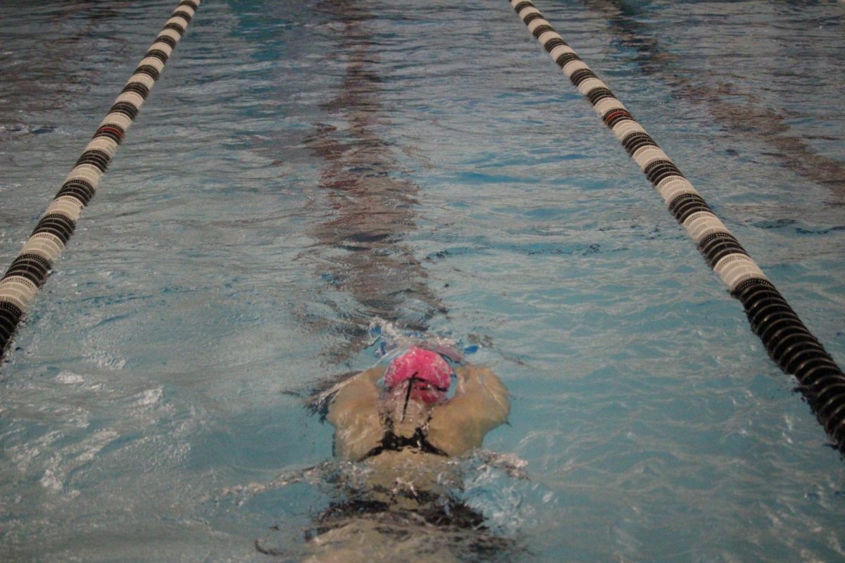 Elkhorn swimmer maintaining her pace.