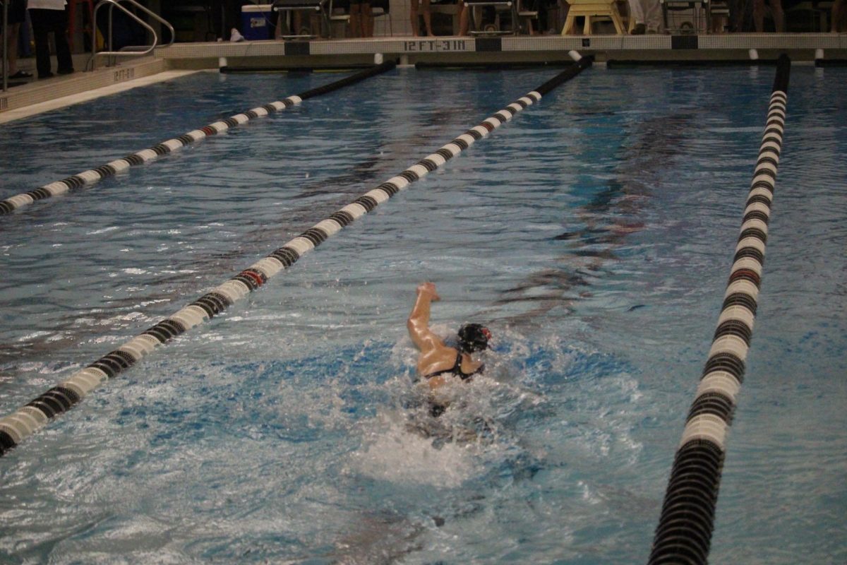Elkhorn Swimmer races to the end.
