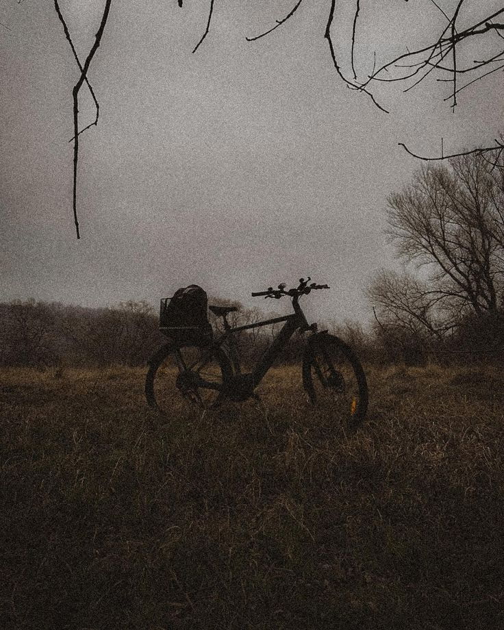 "Lakewood Bikes" is a poemwritten by sophomore G. Morrison. The poem is part of a bigger work of fiction.
Photo courtesy of G. Morrison