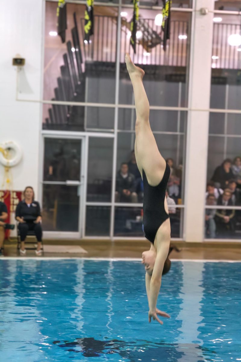 Senior Bridget Boster dives at the Burke diving invite.