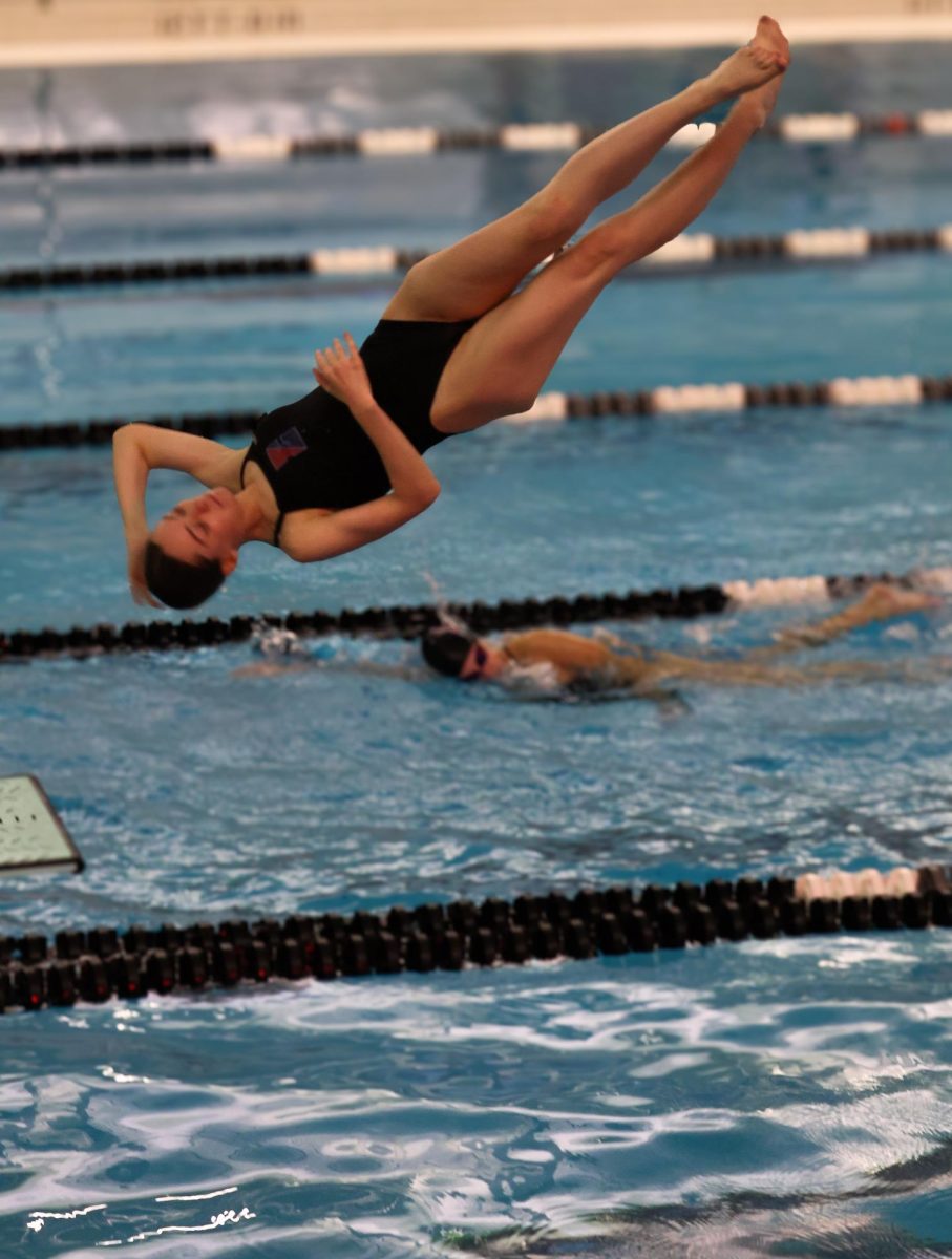 Senior Bridget Boster dives at the senior swim and dive meet.