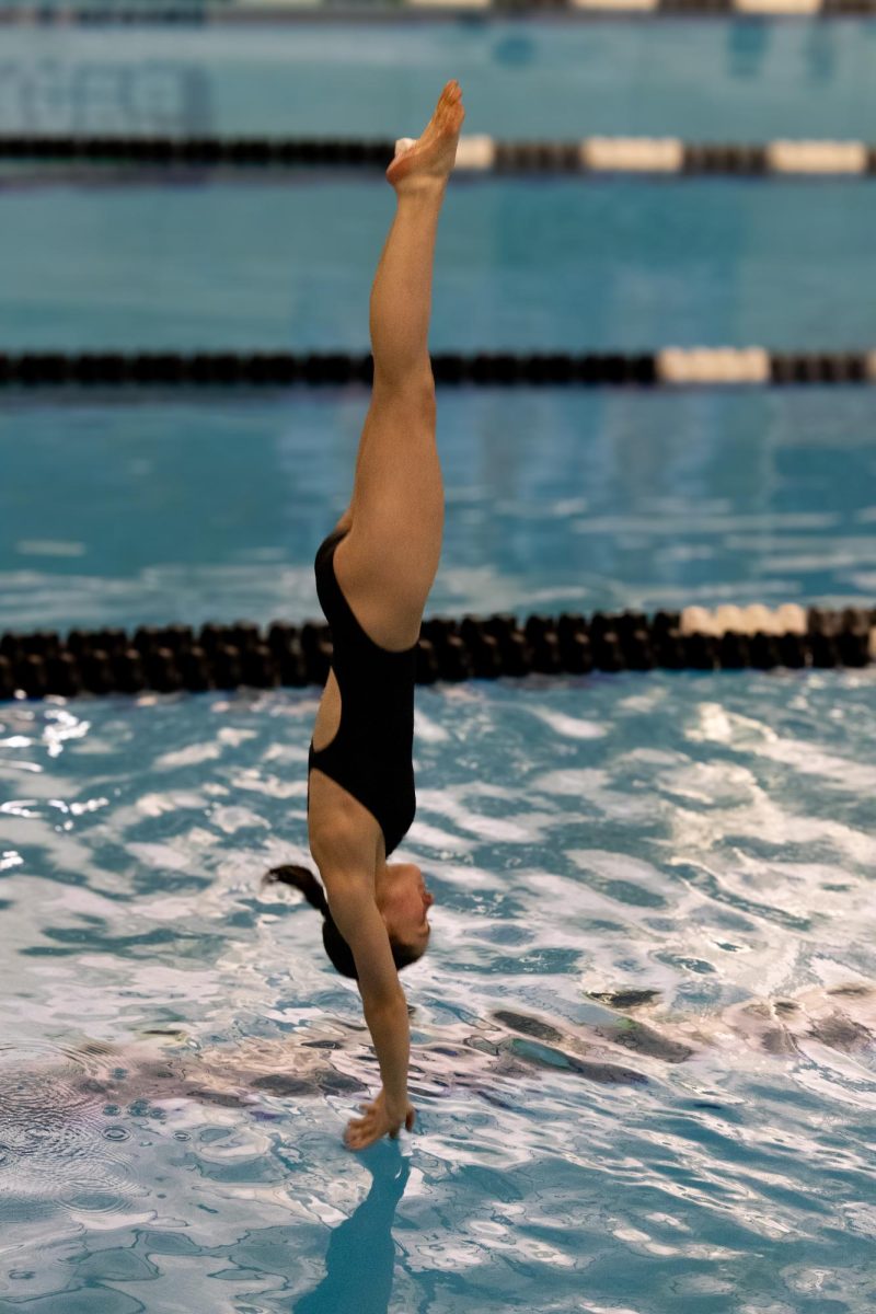 Senior Bridget Boster dives at the senior swim and dive meet.