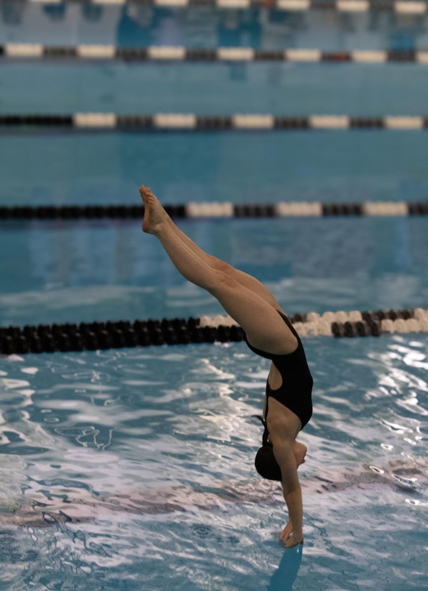 Senior Bridget Boster dives at the senior swim and dive meet.