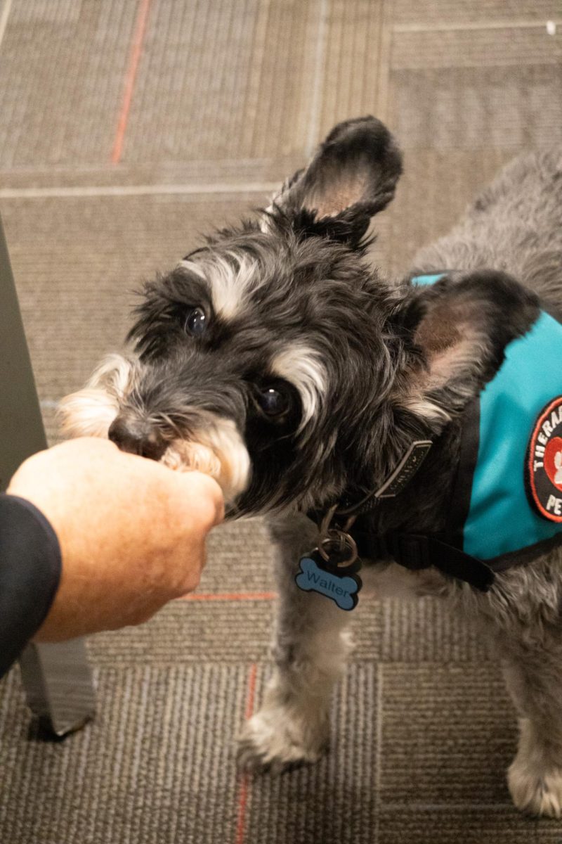 EHS therapy dog, Walter gets a dog treat from teacherChris Jensons hand. Taken on February 5, 2026.