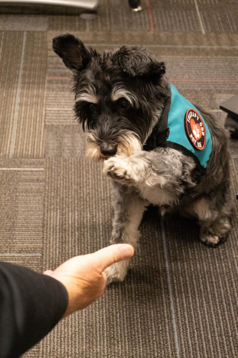 EHS therapy dog, Walter, gives teacher Chris Jenson a high-five.  Taken on February 5, 2026. 